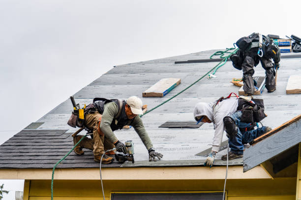 Professional Gutter Installation technician working in Josephine, WV